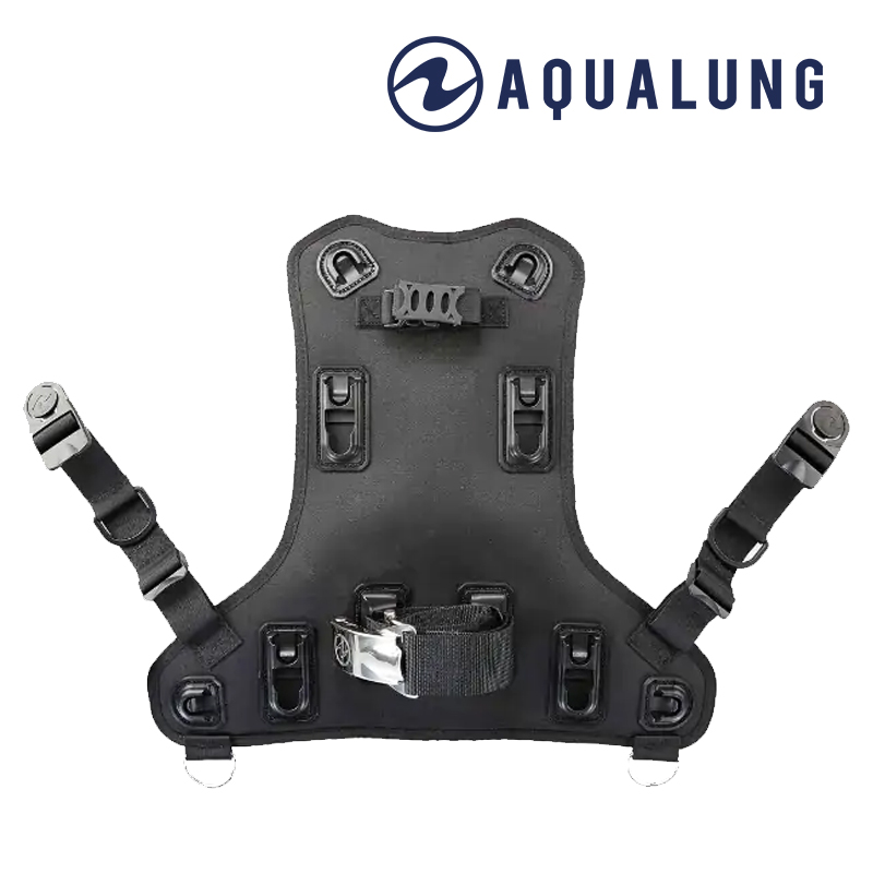 Aqualung Rogue Back Assembly