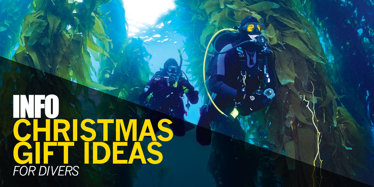 Christmas Gifts For Divers | Our Recommendations